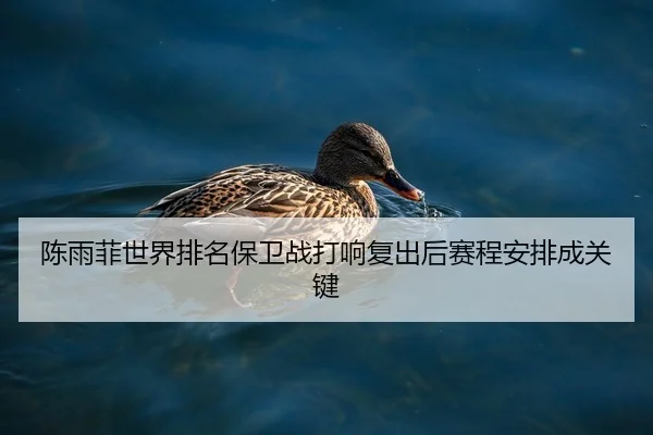 陈雨菲世界排名保卫战打响复出后赛程安排成关键